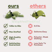 Weighted Plushie Throw Pillow(EXPRESS VIP)