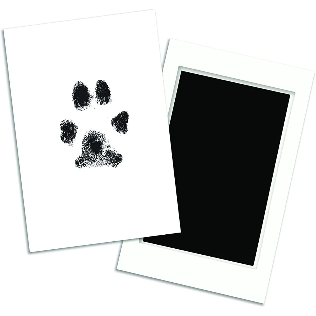 Paw Print Stamp Pad