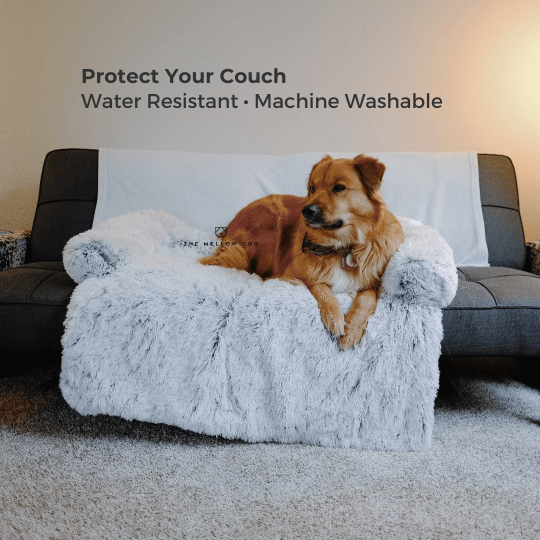 Calming Couch Cover