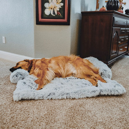 Calming Couch Cover